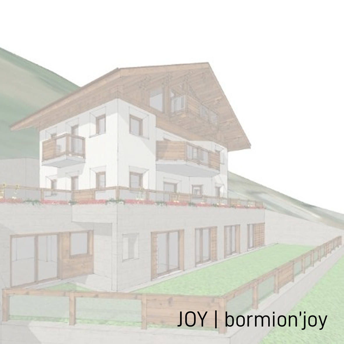 JOY_02